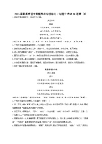 新高考语文二轮复习高频考点专项练习：专题一0 考点二0 语言（3）