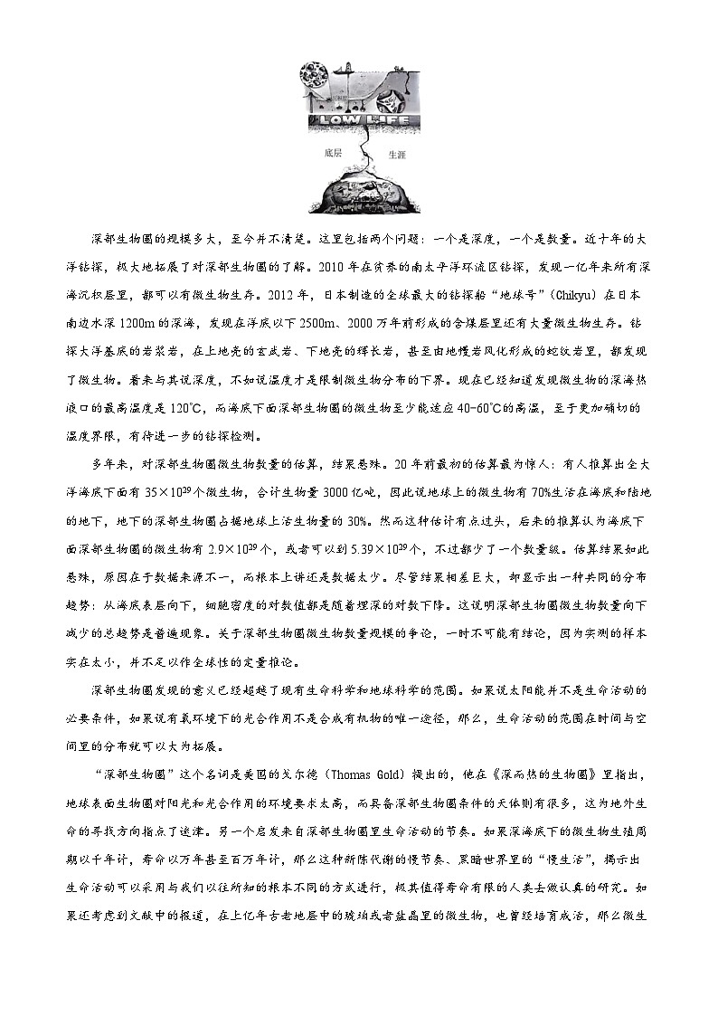 福建省龙岩市连城县第一中学2024-2025学年高三上学期开学考试语文试题（原卷版+解析版）02