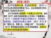 《五石之瓠》精品课件-2024-2025学年高二语文文言文专题教学与备考（统编版选必上册）