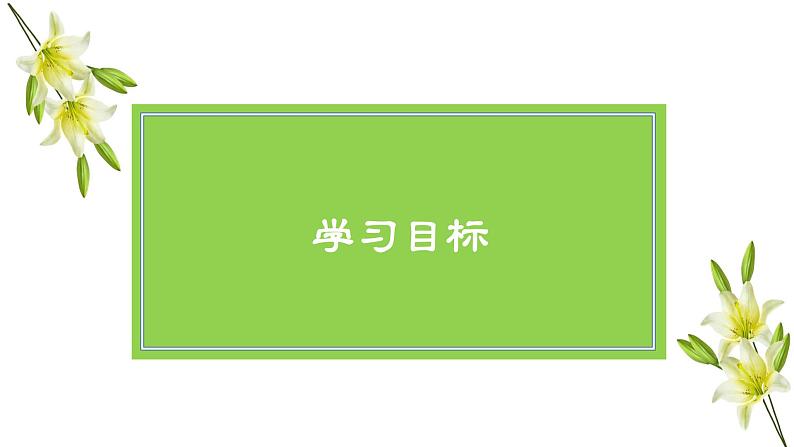 3.1公开课《百合花》课件  部编版高中语文必修上册ppt第5页