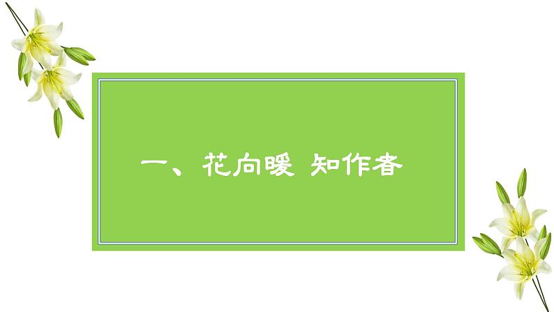 3.1公开课《百合花》课件  部编版高中语文必修上册ppt第7页