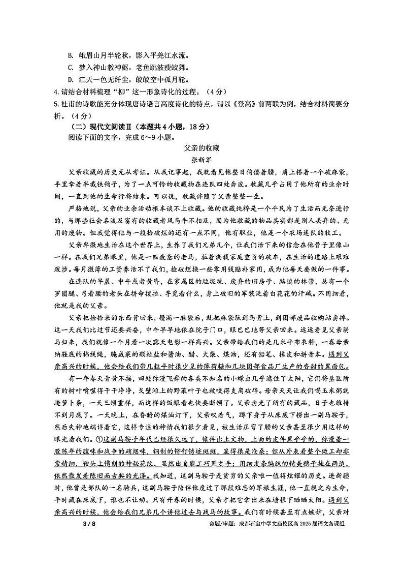 成都石室中学2024-2025学年度上期高2025届定时练习 - 语文03