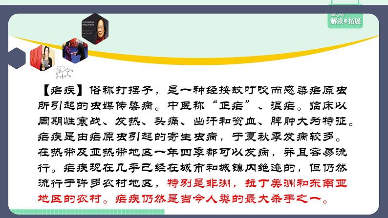 高中语文（统编版必修下册）课件7.1青蒿素：人类征服疾病的一小步第2页