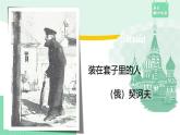 高中语文（统编版必修下册）课件13.2 装在套子里的人