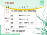 高中语文（统编版必修下册）课件13.2 装在套子里的人