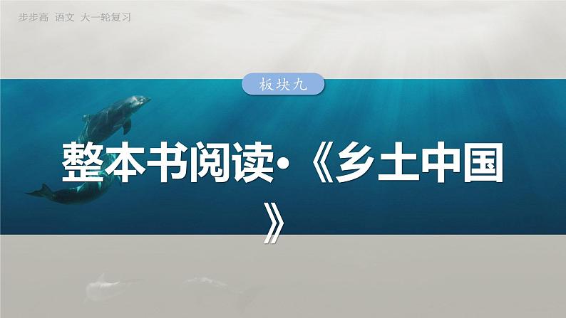 板块九  学案82　乡土社会、差序格局与礼治秩序——核心概念，理解迁移-2025年高考语文大一轮复习（课件+讲义+练习）03