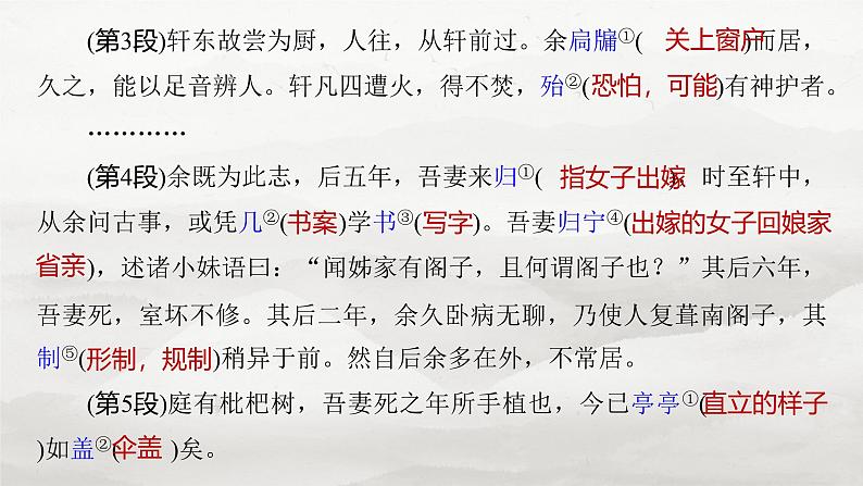 选择性必修下册(一)　单篇梳理2　项脊轩志-2025年高考语文大一轮复习（课件+讲义+练习）08