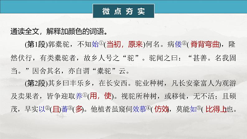 选择性必修下册(二)　单篇梳理5　种树郭橐驼传-2025年高考语文大一轮复习（课件+讲义+练习）05