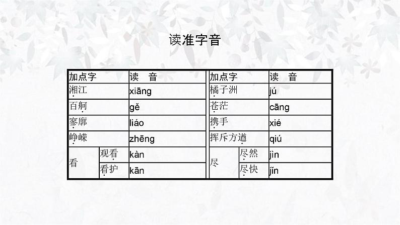 1《沁园春长沙》任务式课件----- 2024-2025学年统编版高一语文必修上册06