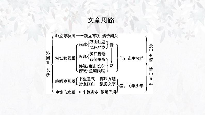 1《沁园春长沙》任务式课件----- 2024-2025学年统编版高一语文必修上册08