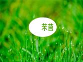 6.1《芣苢》课件   2024-2025学年统编版高一语文必修上册