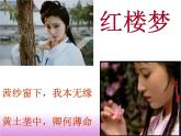 国学经典《红楼梦》作品简介名著导读PPT