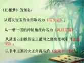 《红楼梦》人物解析介绍PPT