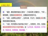 课件：部编版高中语文必修上第二单元第6课 芣苢 (2)