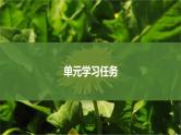 课件：部编版高中语文必修下第一单元 学习任务
