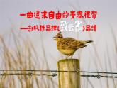 統(tǒng)編版 高中語(yǔ)文 必修上冊(cè) 第一單元 2.4一曲追求自由的青春禮贊——部級(jí)精品課《致云雀》品讀課件+教案