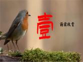 統(tǒng)編版 高中語(yǔ)文 必修上冊(cè) 第一單元 2.4一曲追求自由的青春禮贊——部級(jí)精品課《致云雀》品讀課件+教案