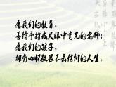 统编版 高中语文 必修上册 第二单元 4.1中国当代劳动者的风采——部级精品课《喜看稻菽千重浪》品读课件+教案