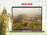 统编版 高中语文 必修上册 第二单元 4.1中国当代劳动者的风采——部级精品课《喜看稻菽千重浪》品读课件+教案