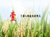统编版 高中语文 必修上册 第二单元 4.1中国当代劳动者的风采——部级精品课《喜看稻菽千重浪》品读课件+教案