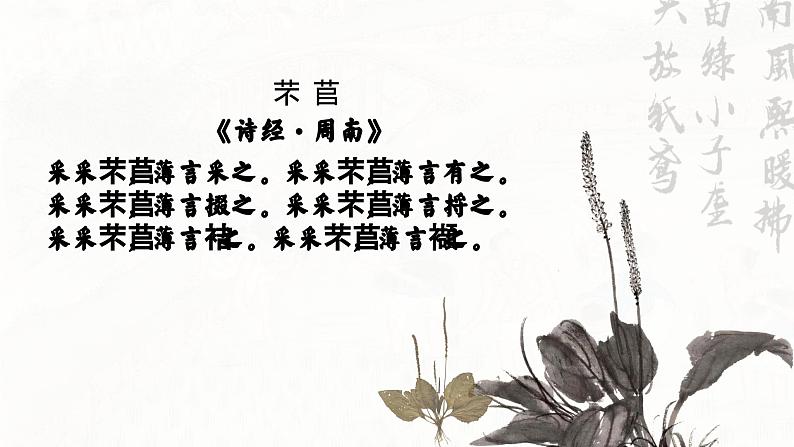 回响在历史中的劳动之歌——部级精品课《芣苢》《插秧歌》联读PPT第6页