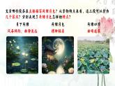 統(tǒng)編版 高中語文 必修上冊 第七單元 14.2荷月之景與有我之境——部級精品課《荷塘月色》品讀課件+教案
