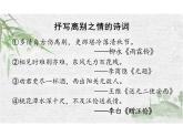 《再别康桥》课件+2024-2025学年统编版高中语文选择性必修下册