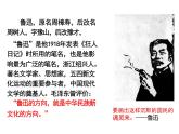 5 《阿Q正传（节选）》课件+2024-2025学年统编版高中语文选择性必修下册