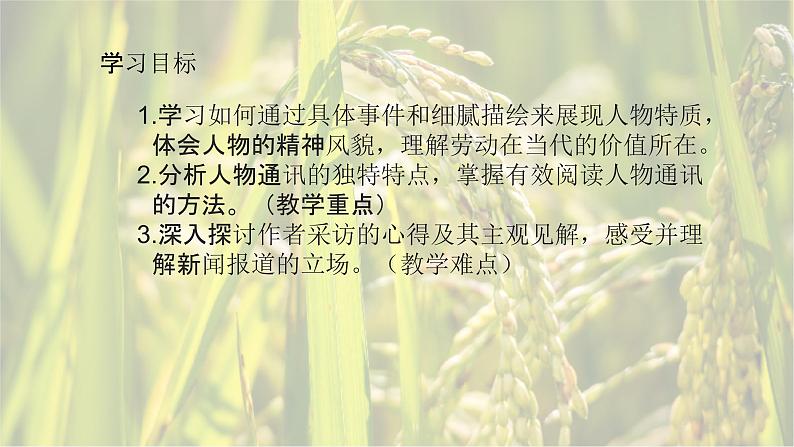 4.1喜看稻菽千重浪-2024-2025学年高一语文优质教学课件（统编版必修上册）第3页