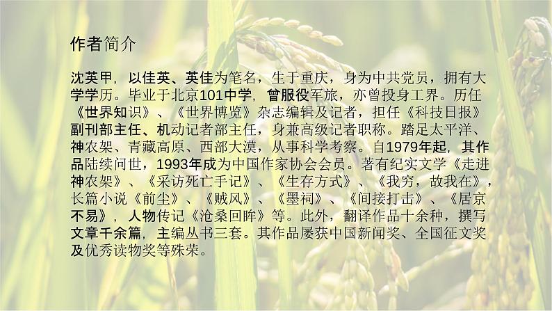 4.1喜看稻菽千重浪-2024-2025学年高一语文优质教学课件（统编版必修上册）第5页