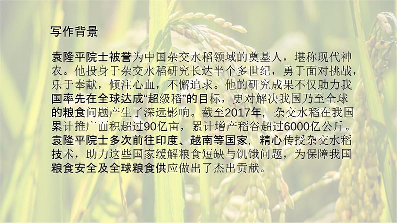 4.1喜看稻菽千重浪-2024-2025学年高一语文优质教学课件（统编版必修上册）第6页