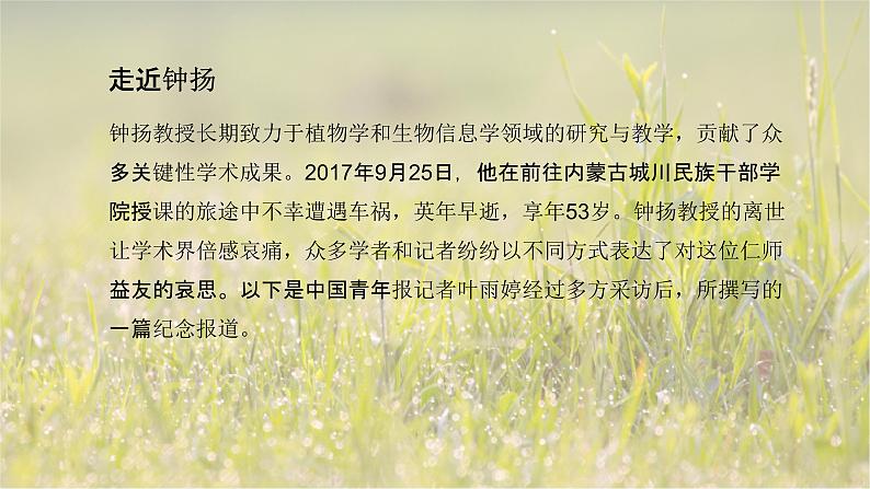 4.3“探界者”钟扬-2024-2025学年高一语文优质教学课件（统编版必修上册）第6页