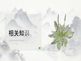 6.1芣苢-2024-2025学年高一语文优质教学课件（统编版必修上册）