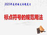 2025年高考语文专题复习：标点符号的规范用法 课件