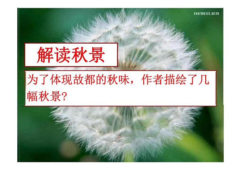 故都的秋（教学课件）—高中语文统编版必修上册第8页