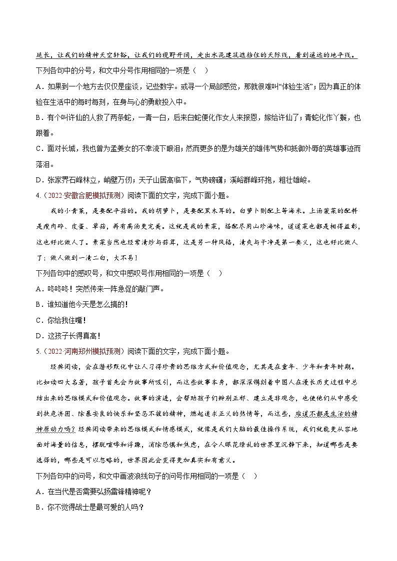 高考语文一轮复习考点(新高考地区专用)考向05正确使用标点符号(原卷版+解析)第2页