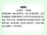 人教版高中语文选择性必修上册第3单元10老人与海(节选)课件+练习含答案