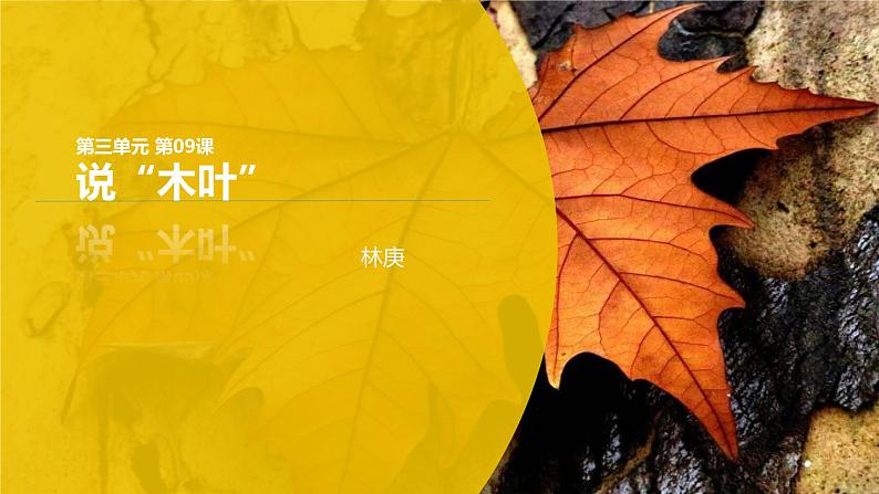 课件：部编版高中语文必修下 第9课 说“木叶”第1页