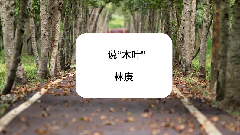 课件：部编版高中语文必修下 第9课 说“木叶”01