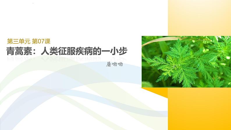 课件：部编版高中语文必修下 第7课 篇一 青蒿素：人类征服疾病的一小步第1页