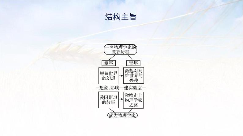 课件：部编版高中语文必修下 第7课 篇二 一名物理学家的教育历程第7页