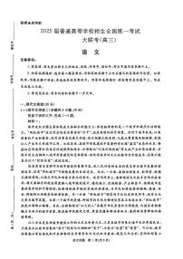 河南省青桐鸣2025届高三上学期10月大联考（10月月考）语文试题