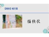《插秧歌》（教学课件）-高中语文人教统编版必修上册