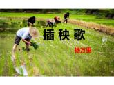 《插秧歌》--（教学课件）-高中语文人教统编版必修上册
