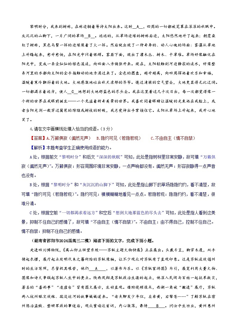 专题02  成语填空考点专训（03）（教师版）2025年新高考语文一轮复习考点满分宝典第3页
