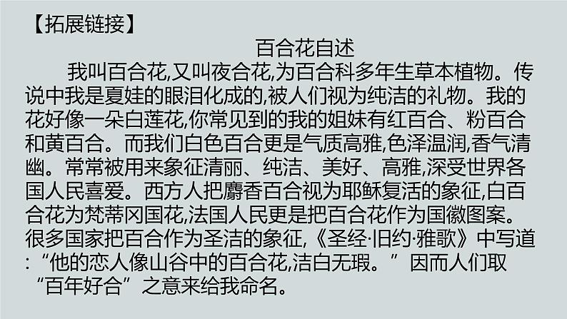 3.1《百合花》课件+2024-2025学年统编版高中语文必修上册 (1)第5页