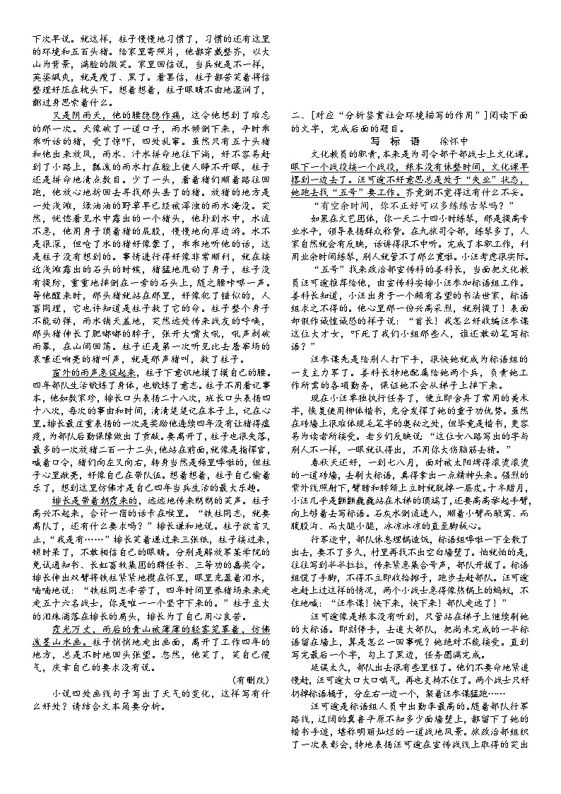 高三语文二轮复习专题学案第二板块小说阅读第四讲赏析环境描写(原卷版+解析)第3页