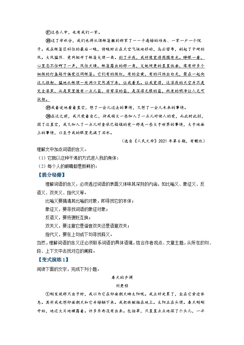 高考语文毕业班二轮热点题型归纳与变式演练(全国通用)专题11文学类文本阅读之揣摩语言(原卷版+解析)第3页