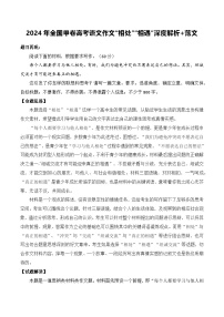 2024年全国甲卷高考语文作文“相处”“相遇”深度解析 范文-备战2025年高考语文写作技巧实战分析与素材运用（全国通用）