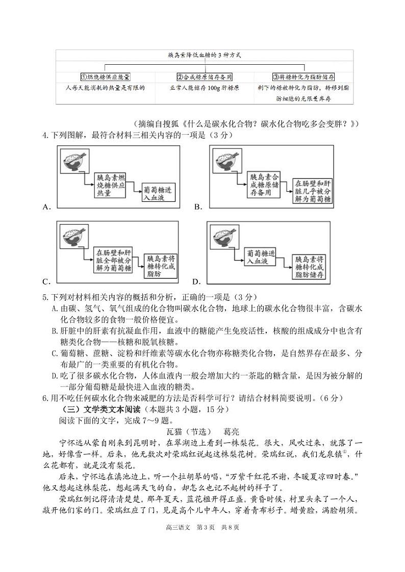 安徽省合肥市第一中学2024-2025学年高三上学期11月月考语文试题附答案第3页